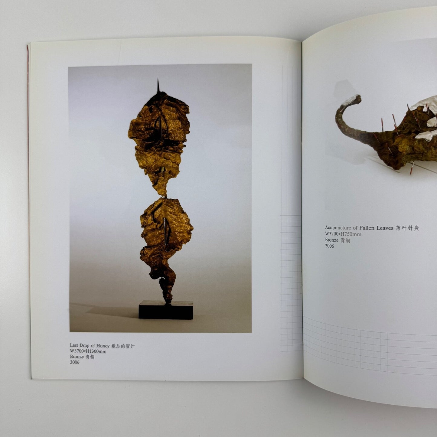 Part ii the Soliloquy of Life Luo Xu Solo exhibition Pearl Lam & Contrasts, 2006