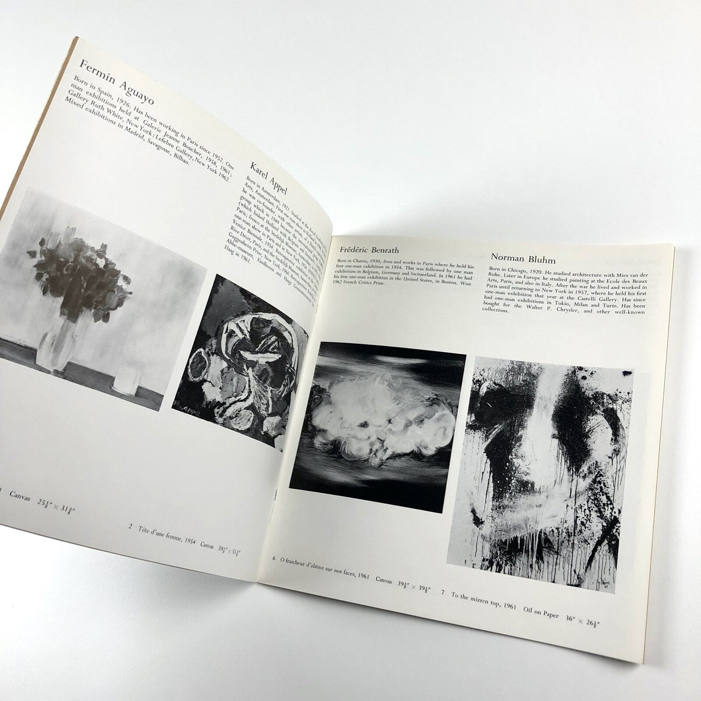 Recent developments in painting V | Arthur Tooth & Sons Ltd, London 1962
