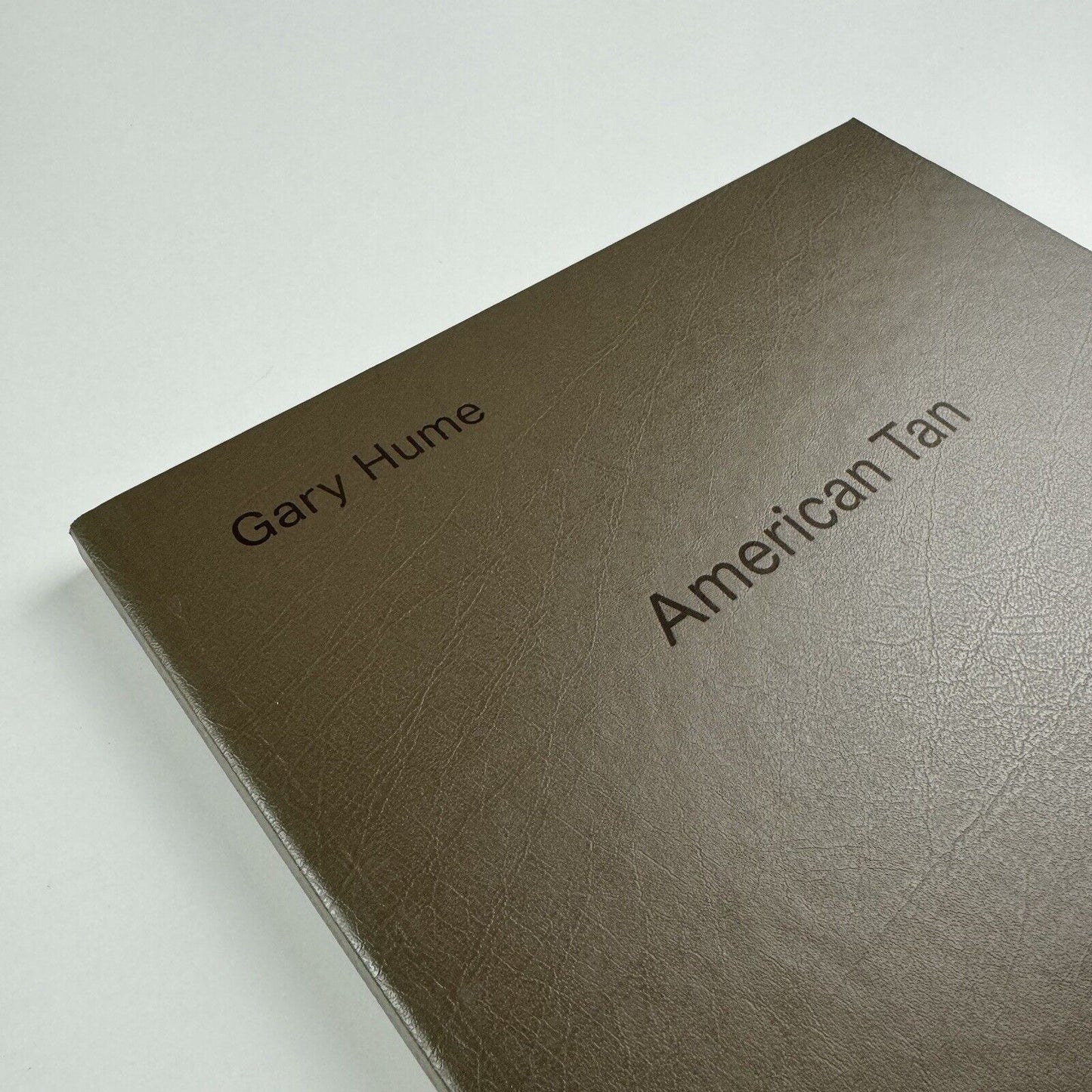 Gary Hume. American Tan | White Cube, London, 2007