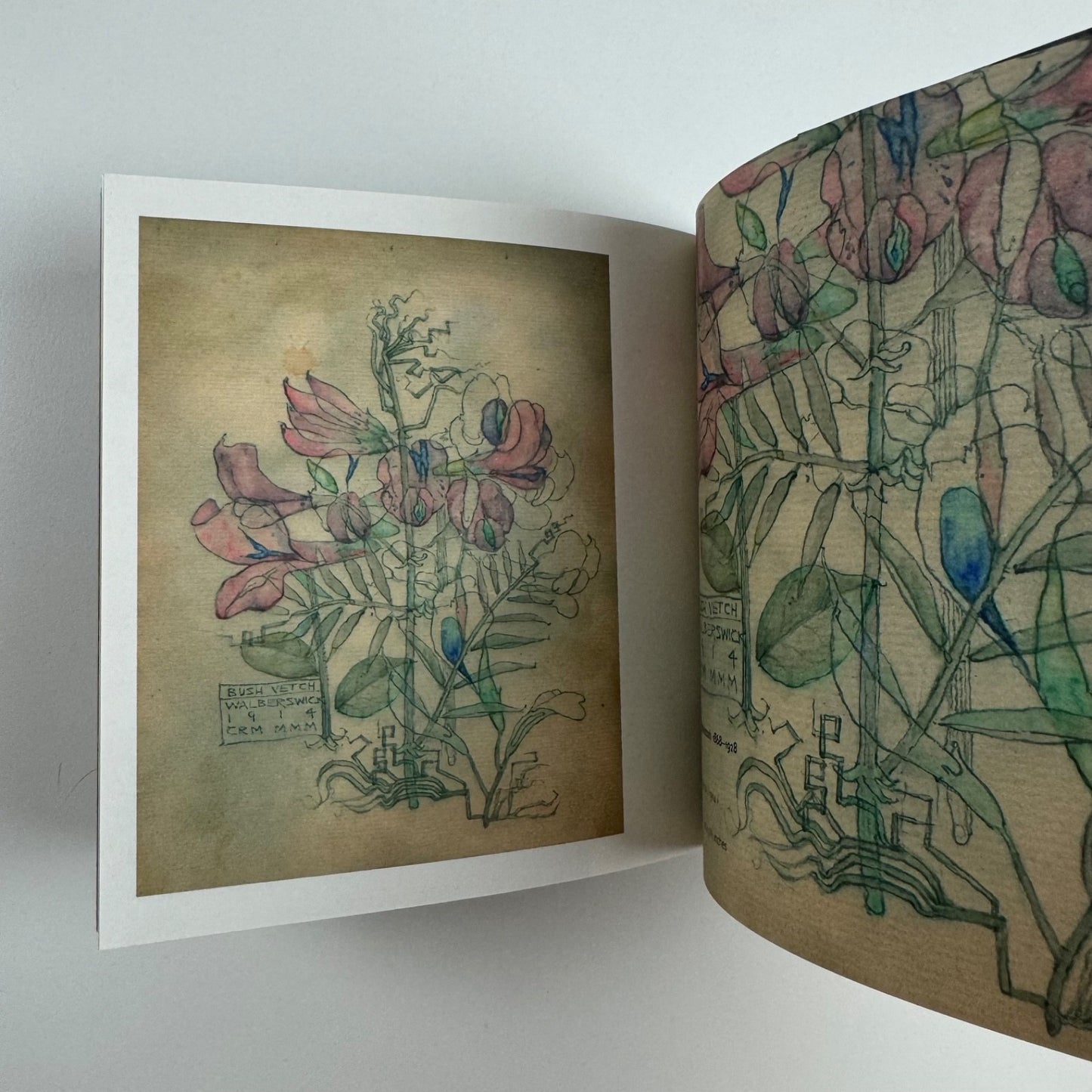 Works on Paper. Runciman to Blackadder Bourne Fine Art | Fine Art Society 2008