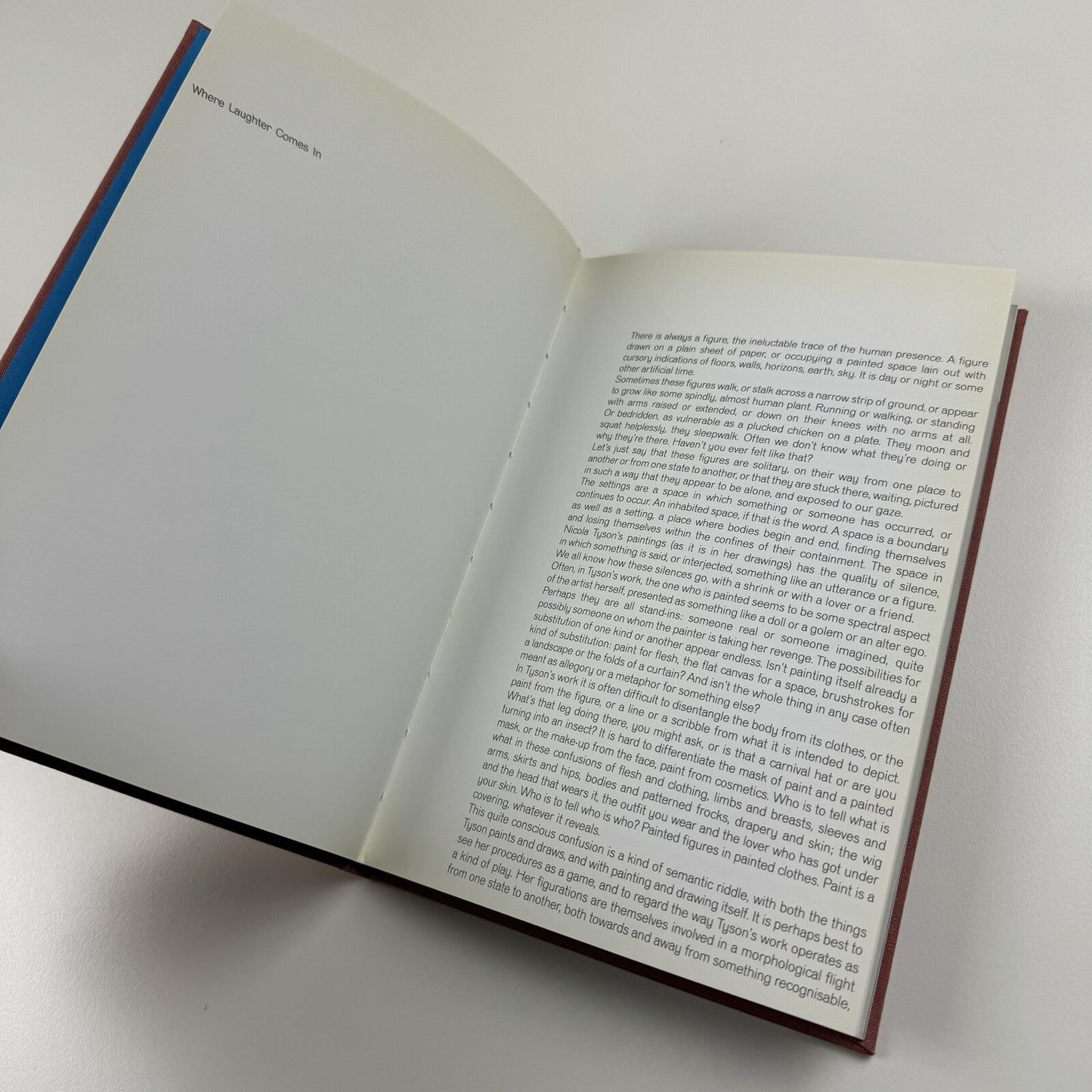 Nicola Tyson | The Douglas Hyde Gallery, Dublin 2005 | Exhibition catalogue