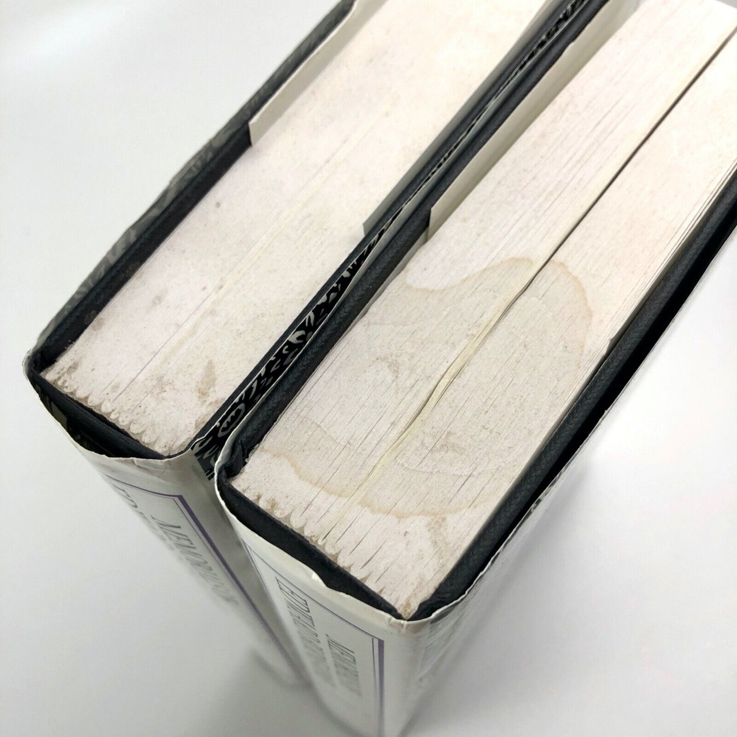 Memorials of Edward Burne-Jones by Georgina Burne-Jones | Volumes I and II 1993