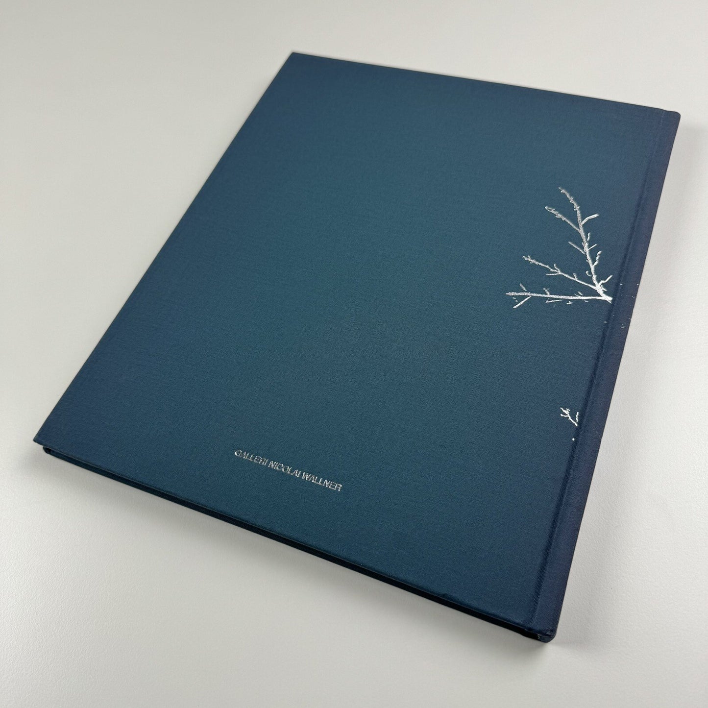 The Future. Christian Schmidt-Rasmussen | Galleri Nicolai Wallner, 2009 catalogue