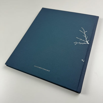 The Future. Christian Schmidt-Rasmussen | Galleri Nicolai Wallner, 2009 catalogue