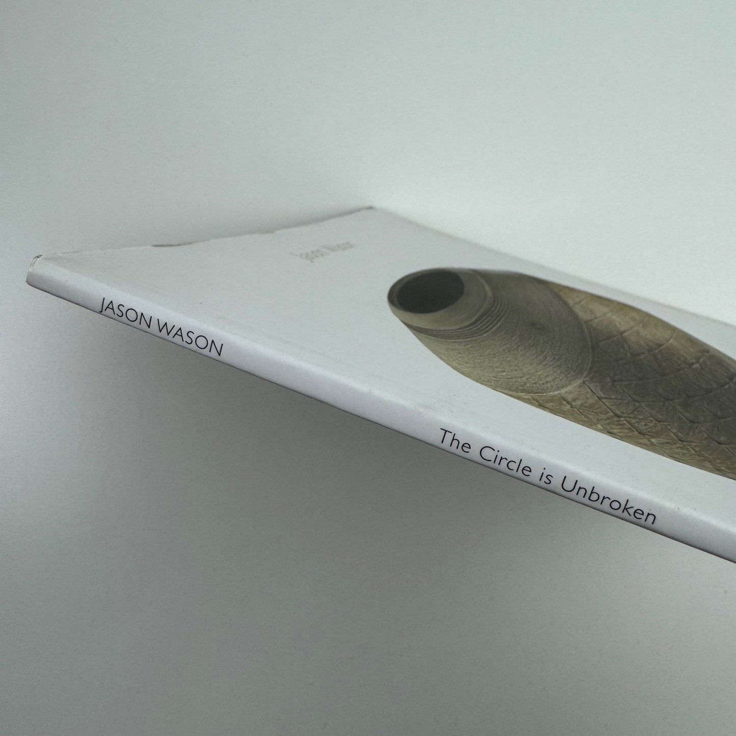 Jason Wason. The Circle is Unbroken | Lemon Street Gallery 2007 + PV invite