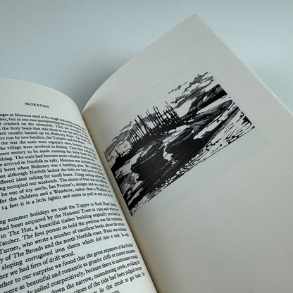 Light into Lemonwood. Wood engravings of mountains and monuments by Merlin Waterson, 2015