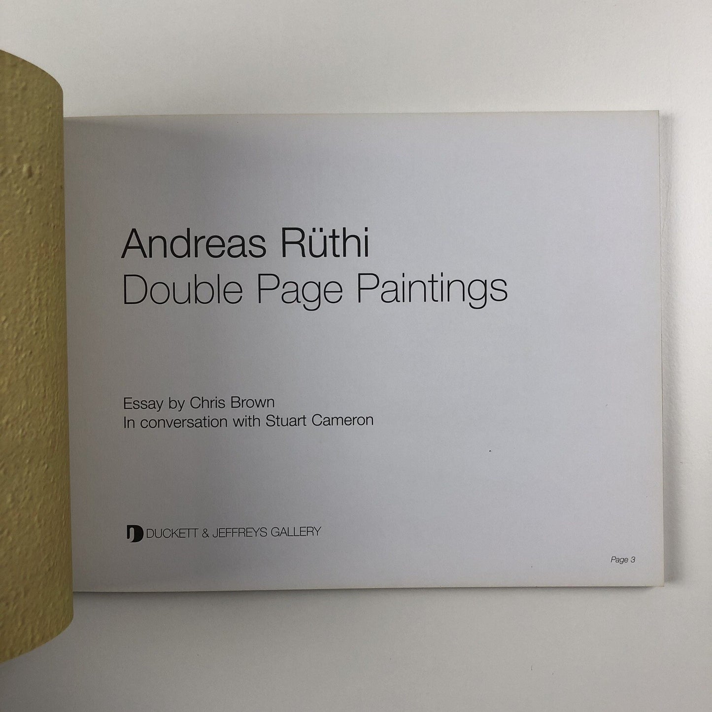 Andreas Rüthi. Double Page Paintings | Duckett & Jeffreys catalogue, 2010