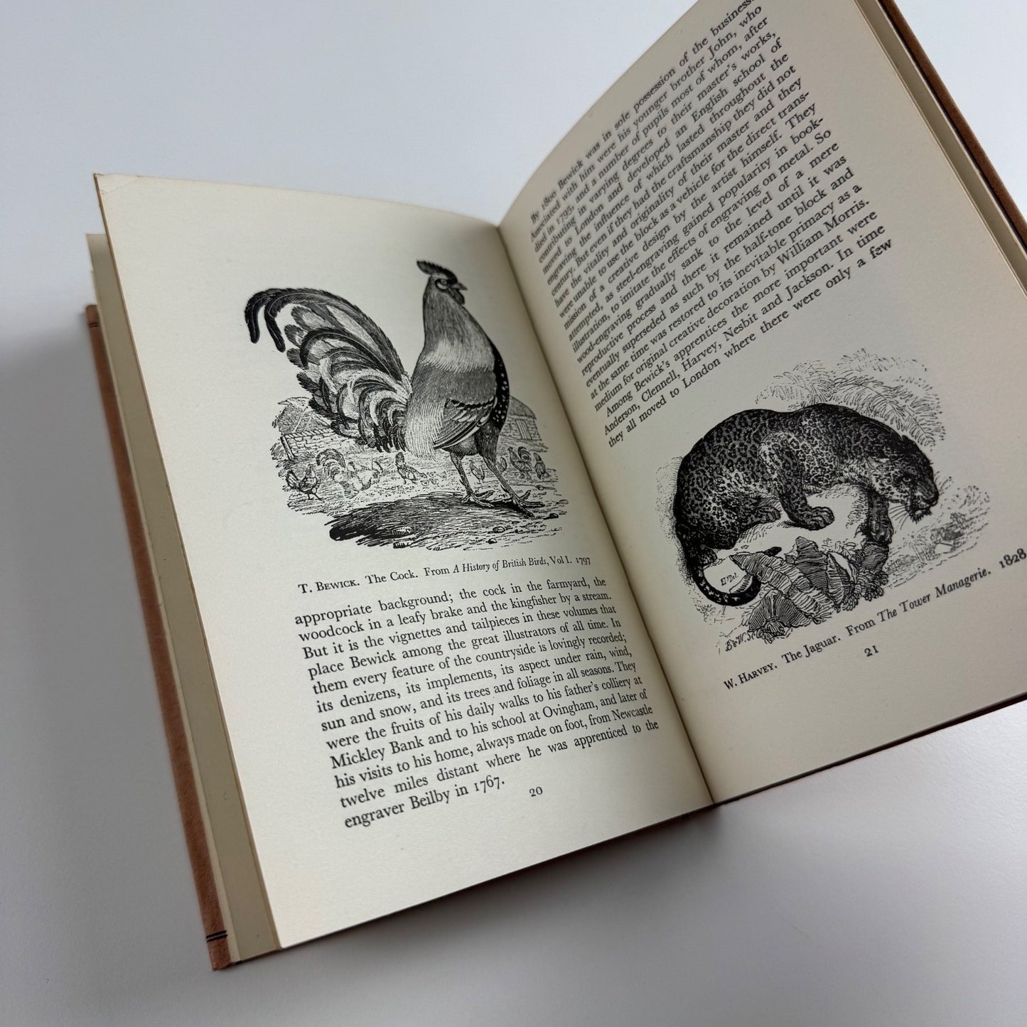 English Book Illustration 1800-1900 by Philip James | King Penguin, 1947