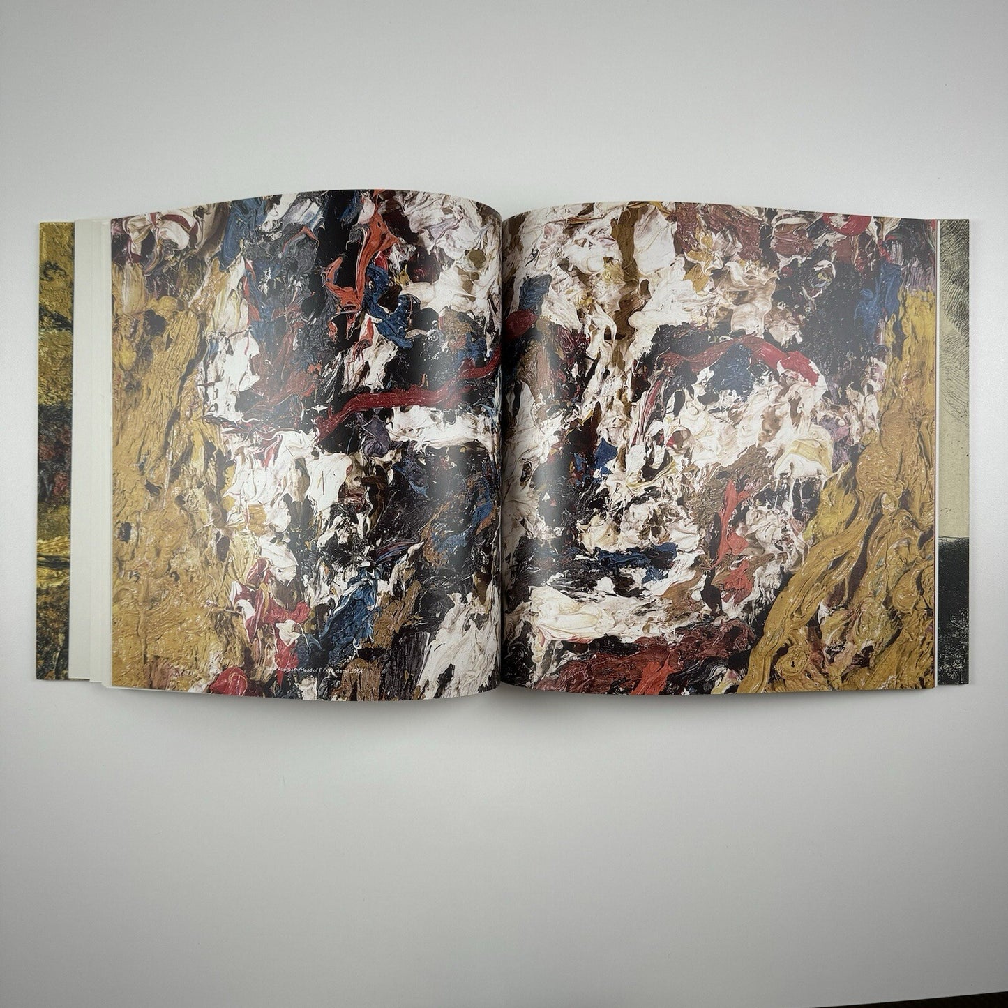 Raw Truth: Auerbach-Rembrandt | Ordovas & Rijksmuseum 2013/14