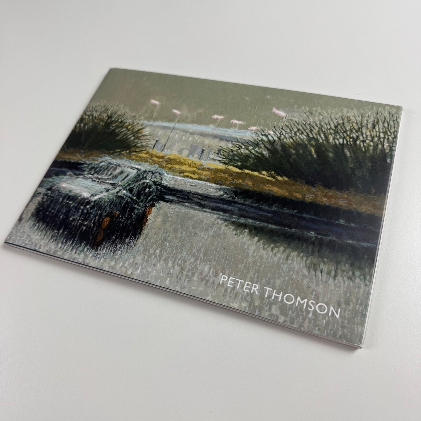 Peter Thomson. Wild observations of a tamed landscape | Lemon Street Gallery 2016