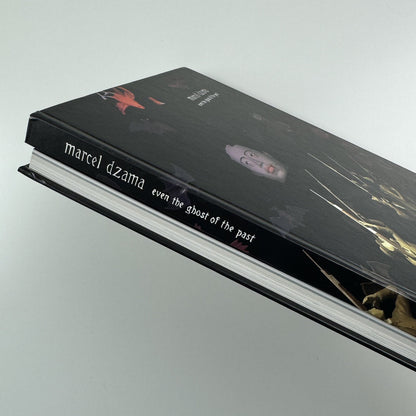 Marcel Dzama. Even the Ghost of the Past | David Zwirner, 2008 catalogue