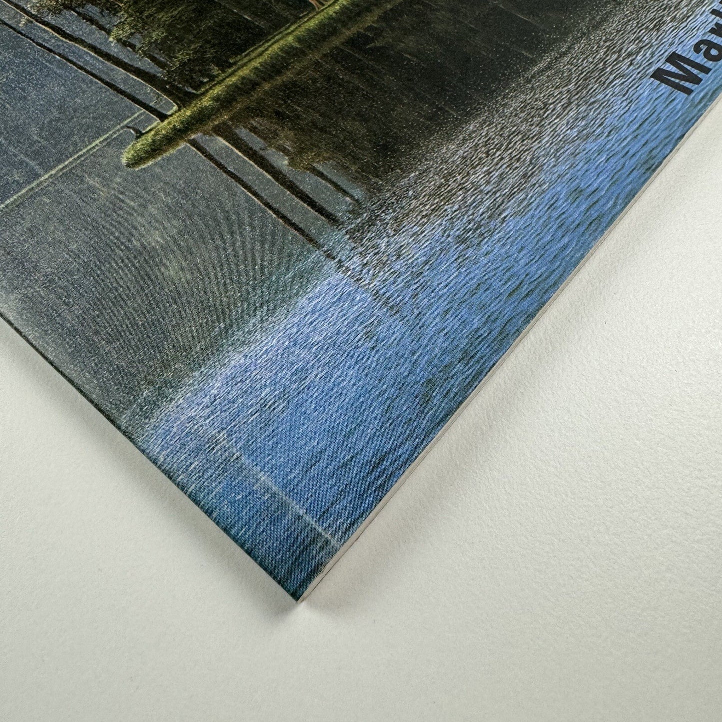 Tomás Sánchez. Obras recientes | Marlborough exhibition catalogue, 2001