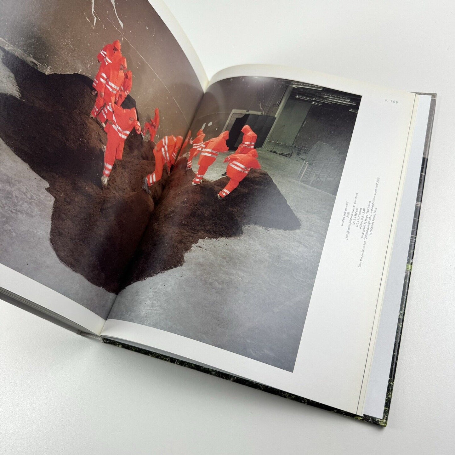 Paola Pivi. Massimiliano Gioni & Jens Hoffmann | Galerie Perrotin, 2013