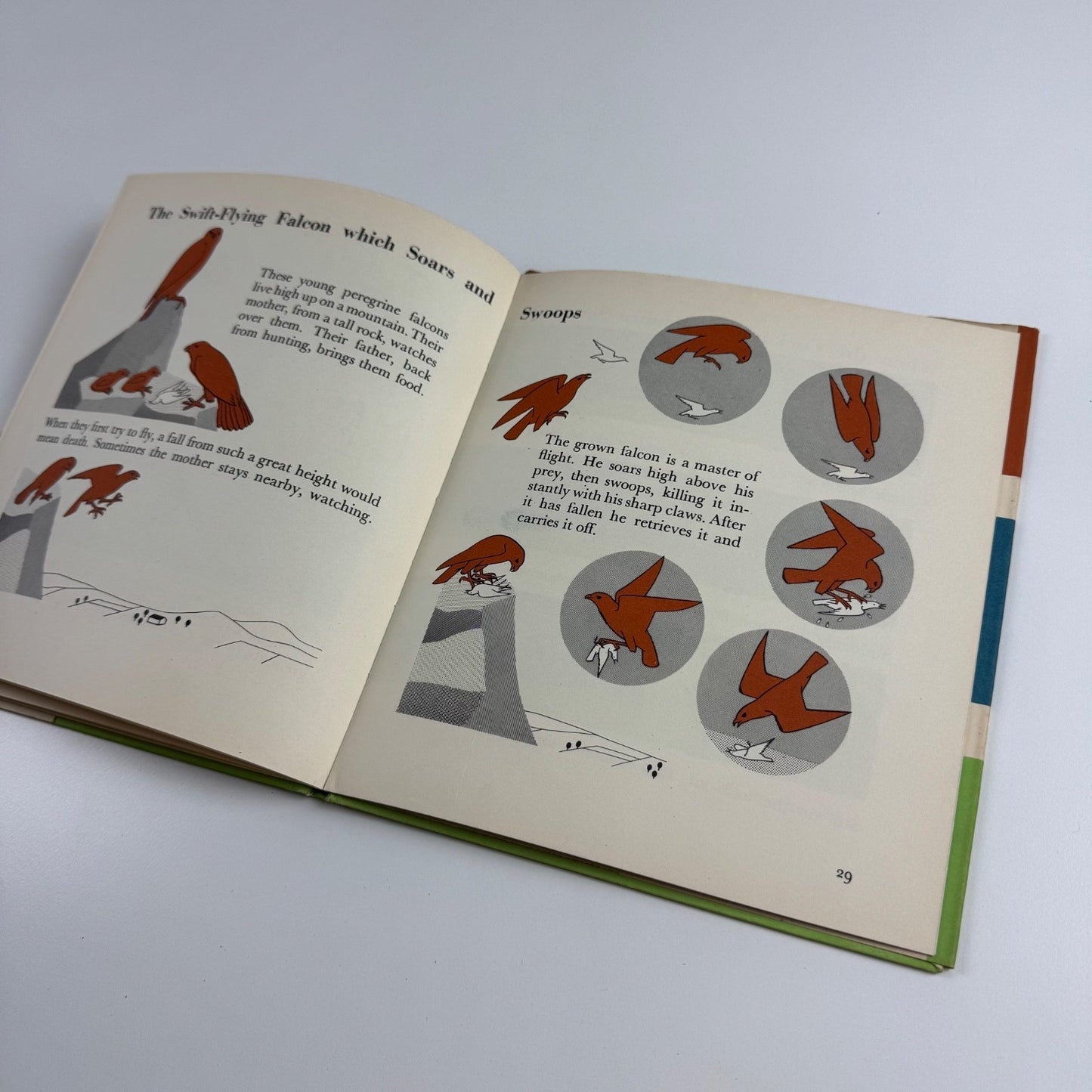 The Wonder World of Birds by Marie Neurath | Max Parrish, 1953 Isotype Institute