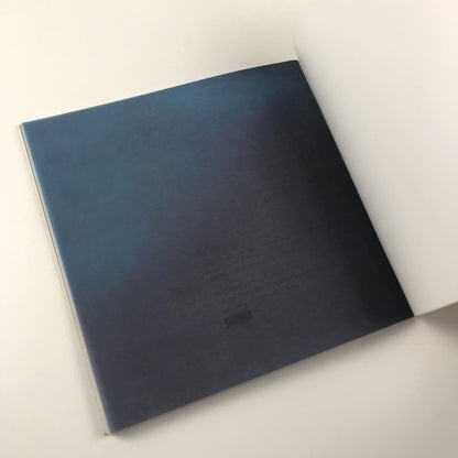 Fall. Monica Ross | Chapter, Wales 1994 exhibition catalogue