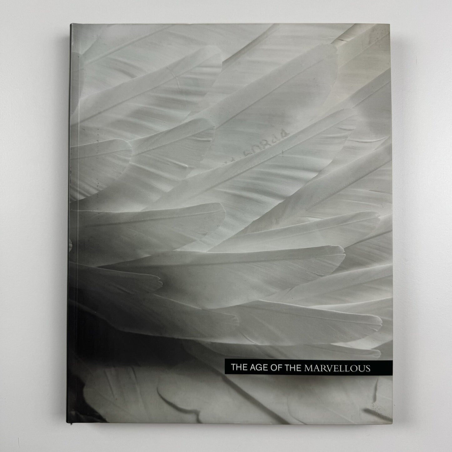 The Age of the Marvellous | One Marylebone Road | All Visual Arts catalogue, 2009 | Text by Joe Le Placa and John Paul Pryor