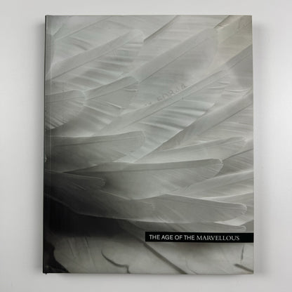 The Age of the Marvellous | One Marylebone Road | All Visual Arts catalogue, 2009 | Text by Joe Le Placa and John Paul Pryor