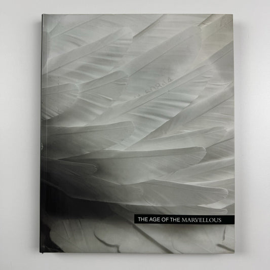 The Age of the Marvellous | One Marylebone Road | All Visual Arts catalogue, 2009 | Text by Joe Le Placa and John Paul Pryor