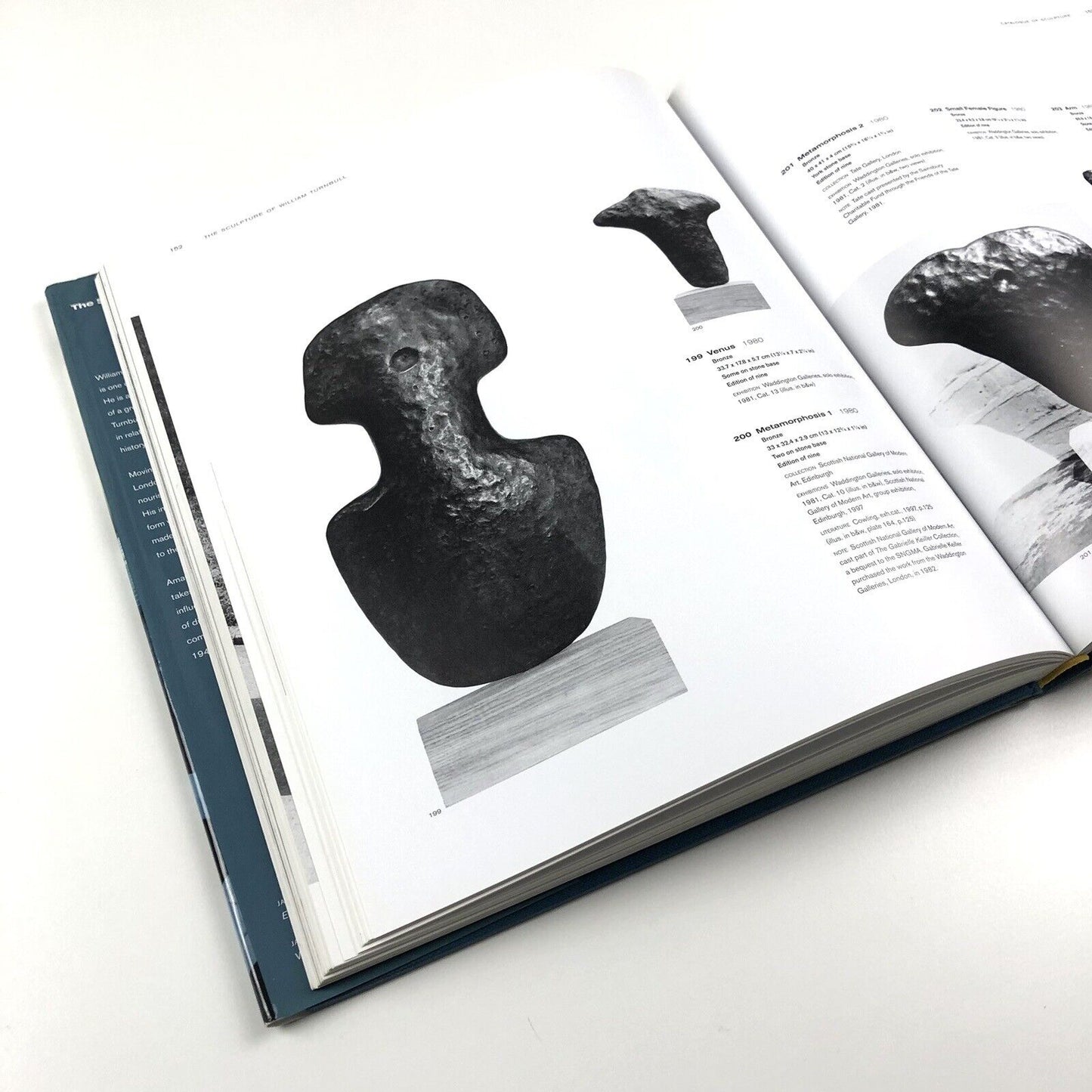 The Sculpture of William Turnbull by Amanda A. Davidson | Lund Humphries hardback 2005