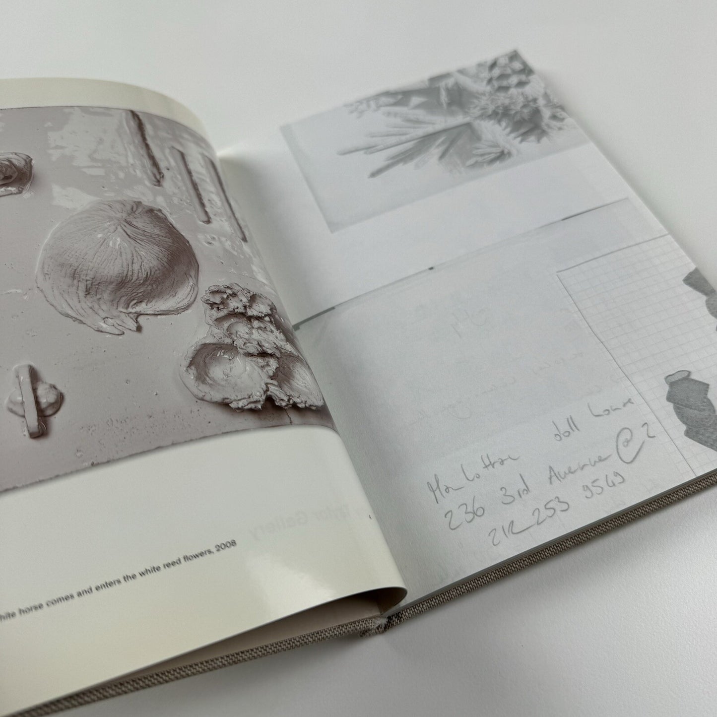 Mai-Thu Perret: 2012 | Timothy Taylor Gallery, London 2008 catalogue