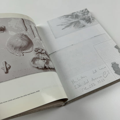 Mai-Thu Perret: 2012 | Timothy Taylor Gallery, London 2008 catalogue