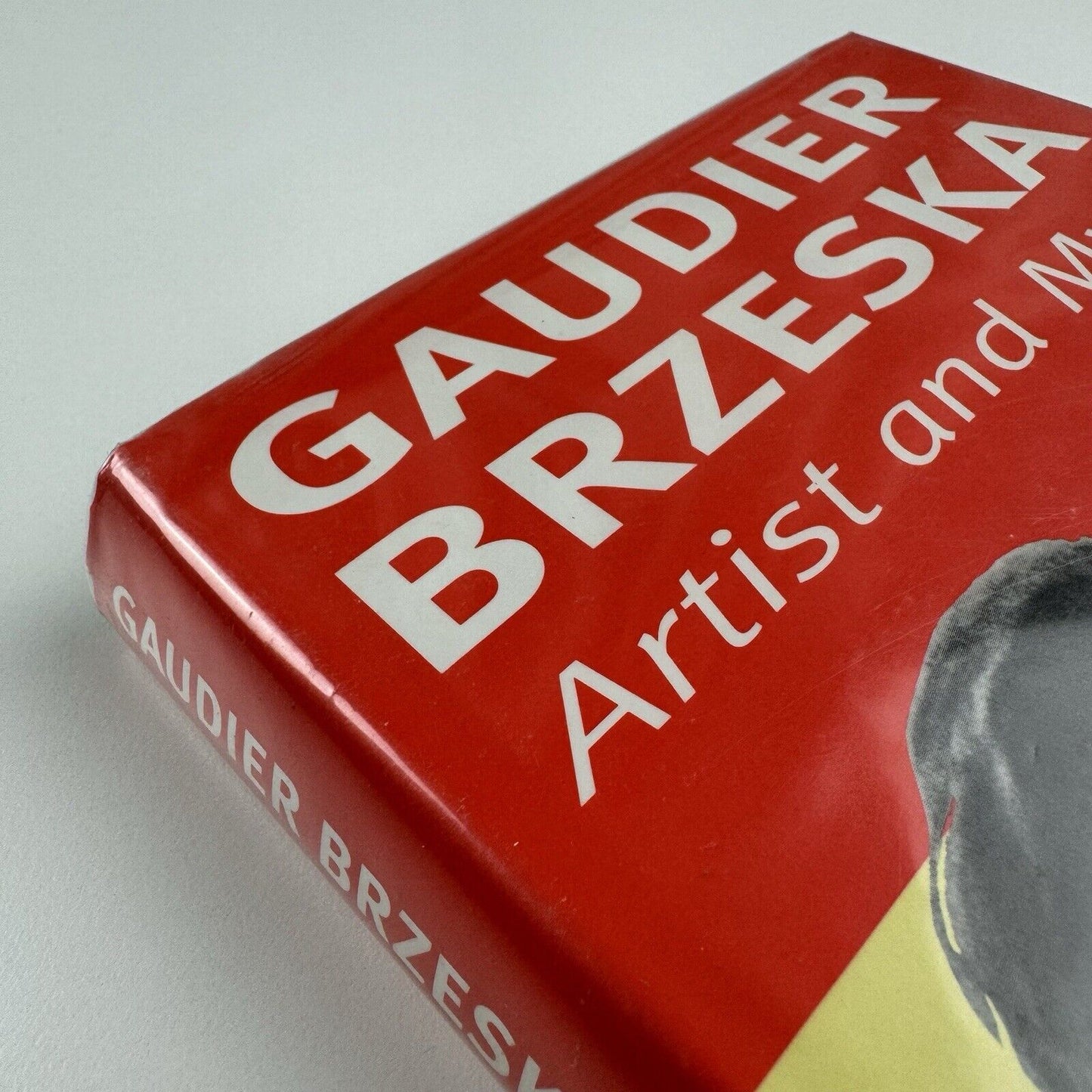 Gaudier Brzeska Artist and Myth by Roger Cole | Sansom & Company, 1995