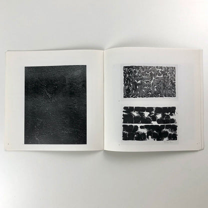 William Green The Susan Hayward exhibition | England & Co catalogue, 1993