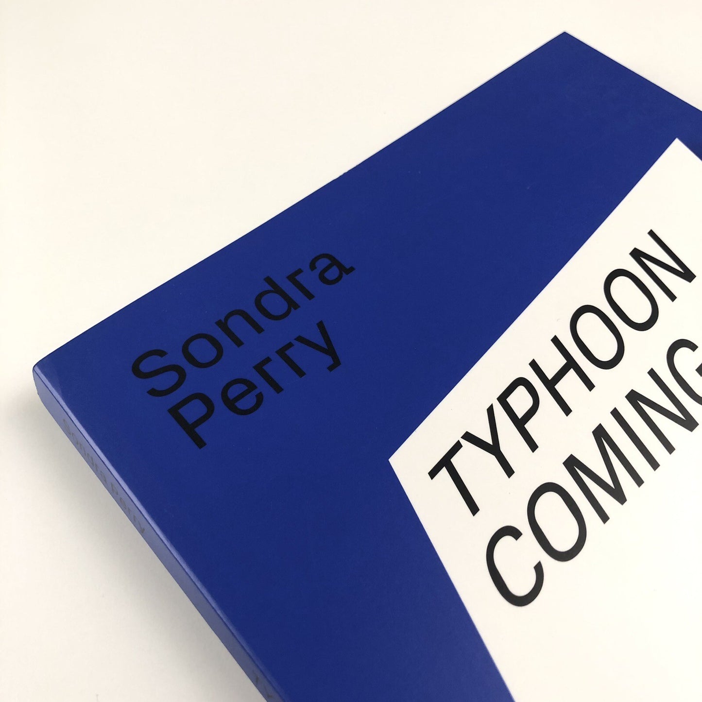 Sondra Perry. Typhoon Coming On | Serpentine Galleries exhibition catalogue, 2018