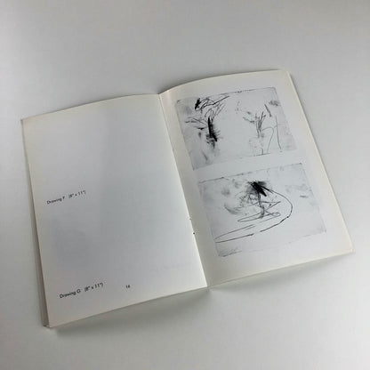 Frances Aviva Blane: New Drawings, catalogue | Shillam + Smith 3, London 1997