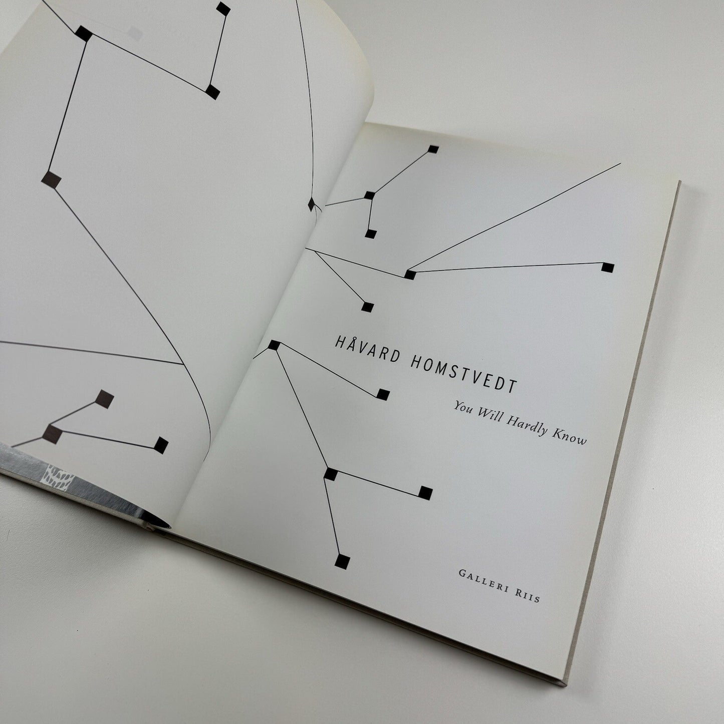 Håvard Homstvedt: You Will Hardly Know | Galleri Riis, 2008 catalogue