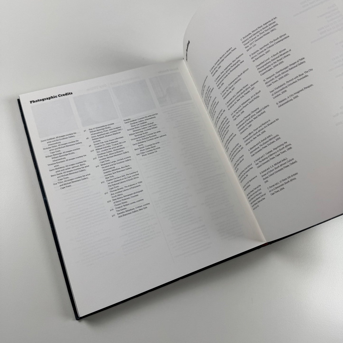 Home Lands - Land Marks: Contemporary art from South Africa Haunch of Venison, 2008