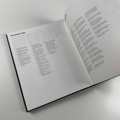 Home Lands - Land Marks: Contemporary art from South Africa Haunch of Venison, 2008