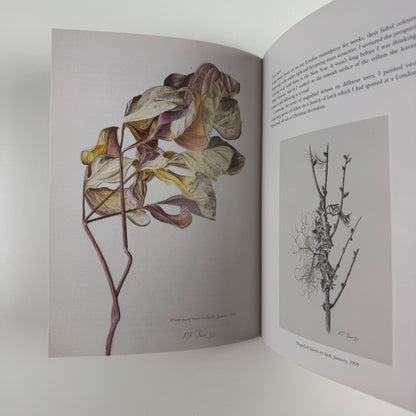 Thinking the Plant. The watercolour drawings of Rebecca John | Pimpernel Press, 2020