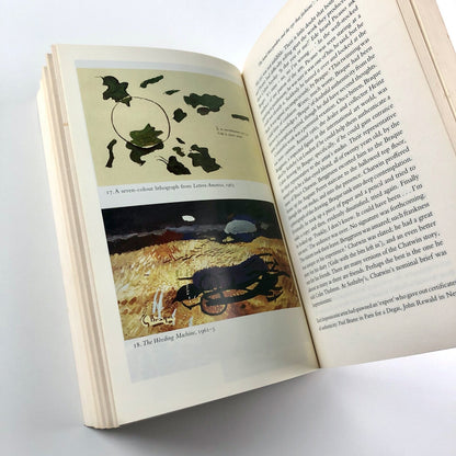 Georges Braque: A Life | Alex Danchev Penguin 2007