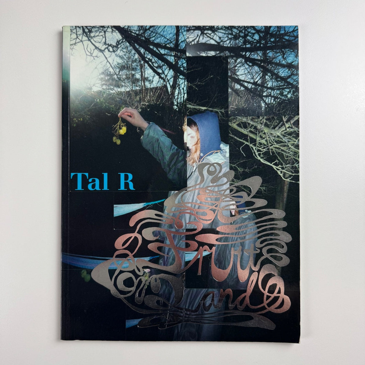 Tal R Fruitland | Museum Abteiberg, Mönchengladbach, 2002