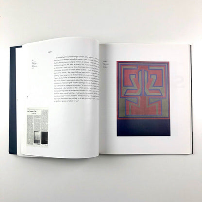 The Art of Robyn Denny by David Alan Mellor | Black Dog Publishing, 2002