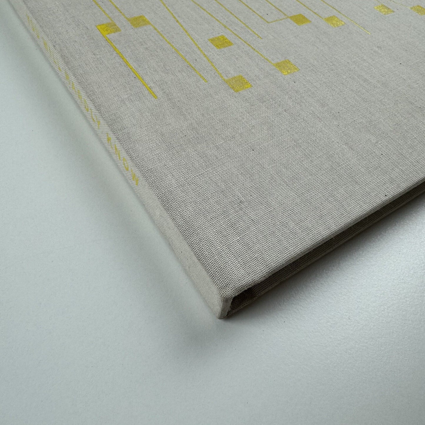 Håvard Homstvedt: You Will Hardly Know | Galleri Riis, 2008 catalogue