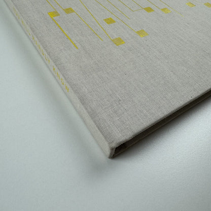Håvard Homstvedt: You Will Hardly Know | Galleri Riis, 2008 catalogue