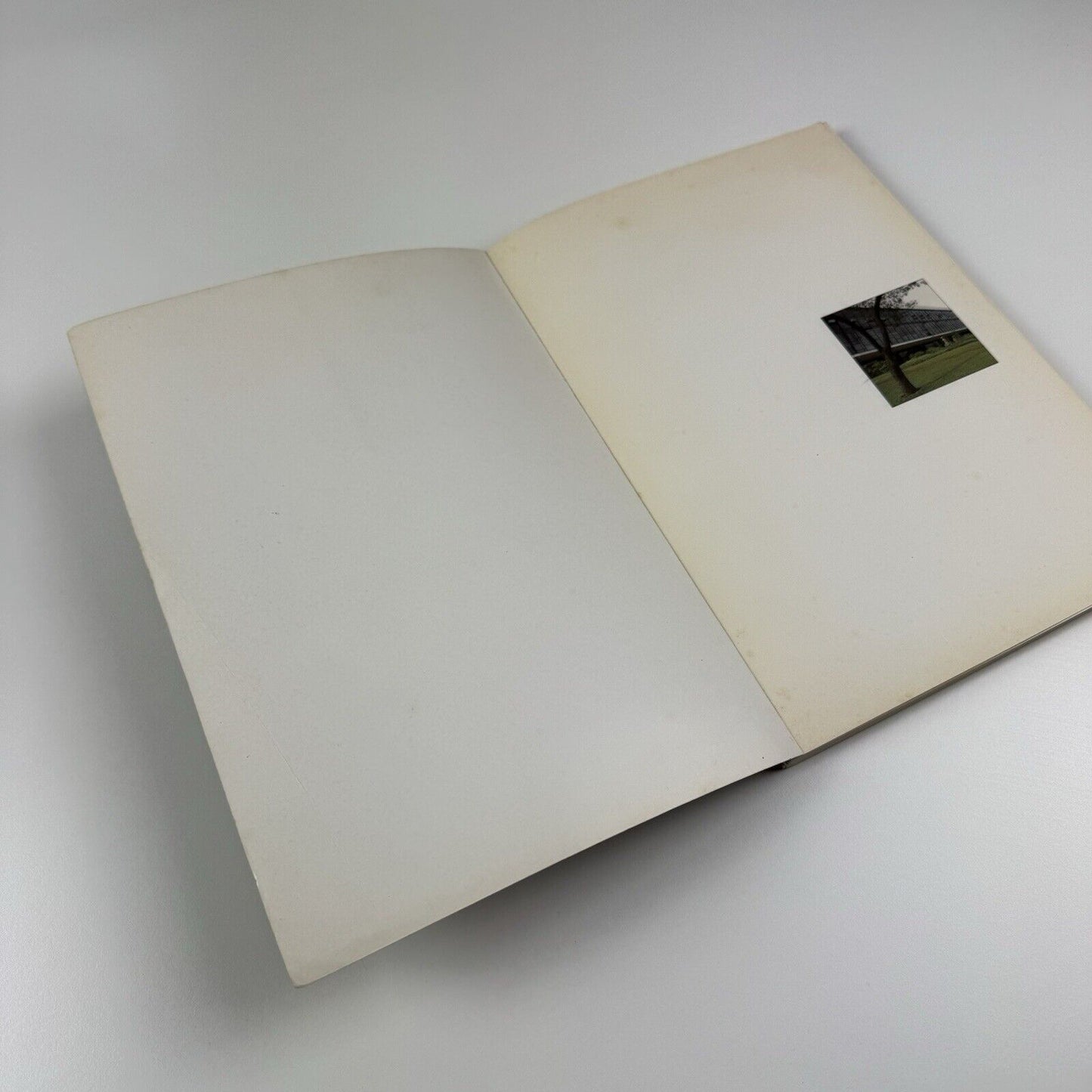 Britain and the Sao Paulo Bienal 1951-1991 | British Council, 1991