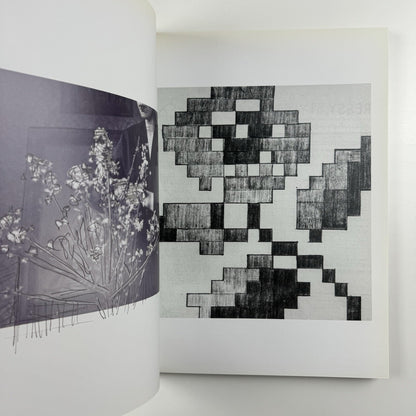 Håvard Homstvedt: You Will Hardly Know | Galleri Riis, 2008 catalogue