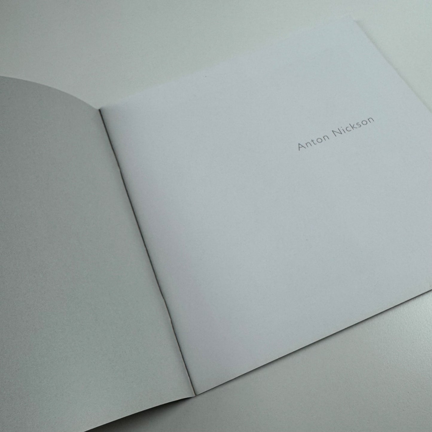 Anton Nickson | Lemon Street Gallery 2007
