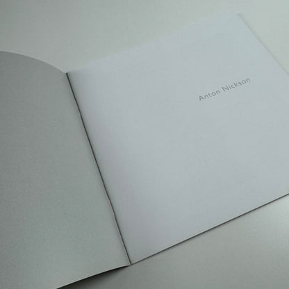 Anton Nickson | Lemon Street Gallery 2007