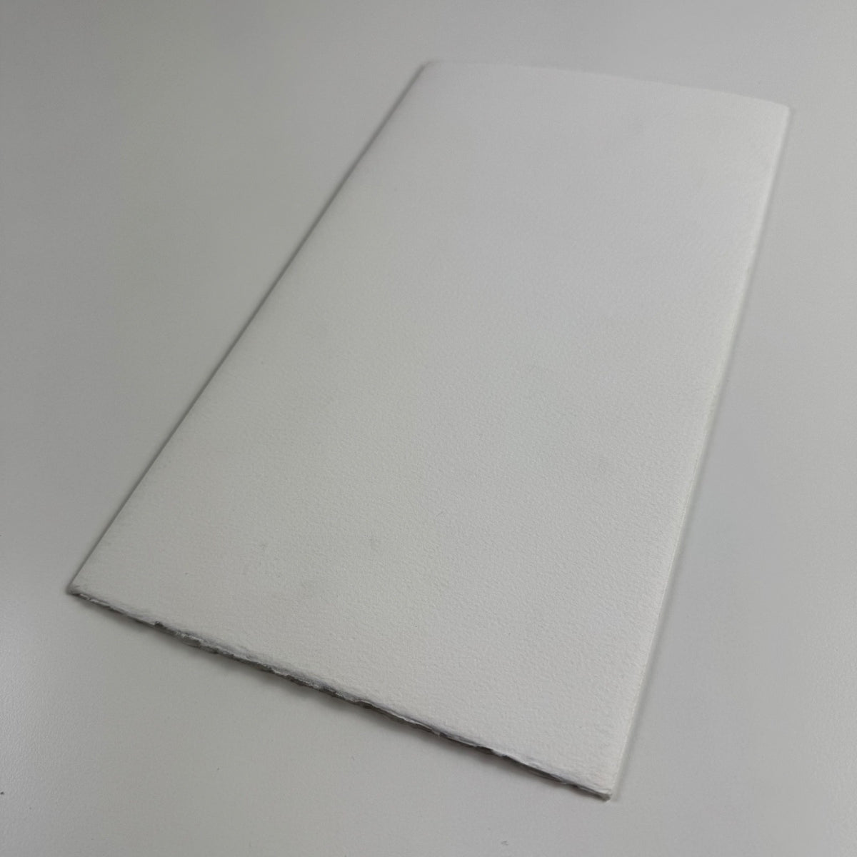 Editions Petropolis Michael Caine, Paris Artists Books in French and English 1989-2002 | Copy number 7/86 5 Nov 2005