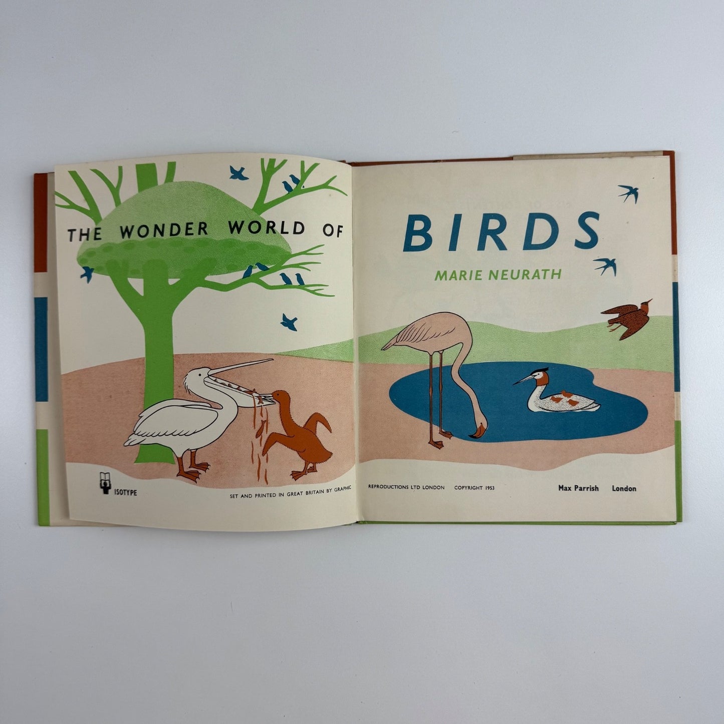 The Wonder World of Birds by Marie Neurath | Max Parrish, 1953 Isotype Institute