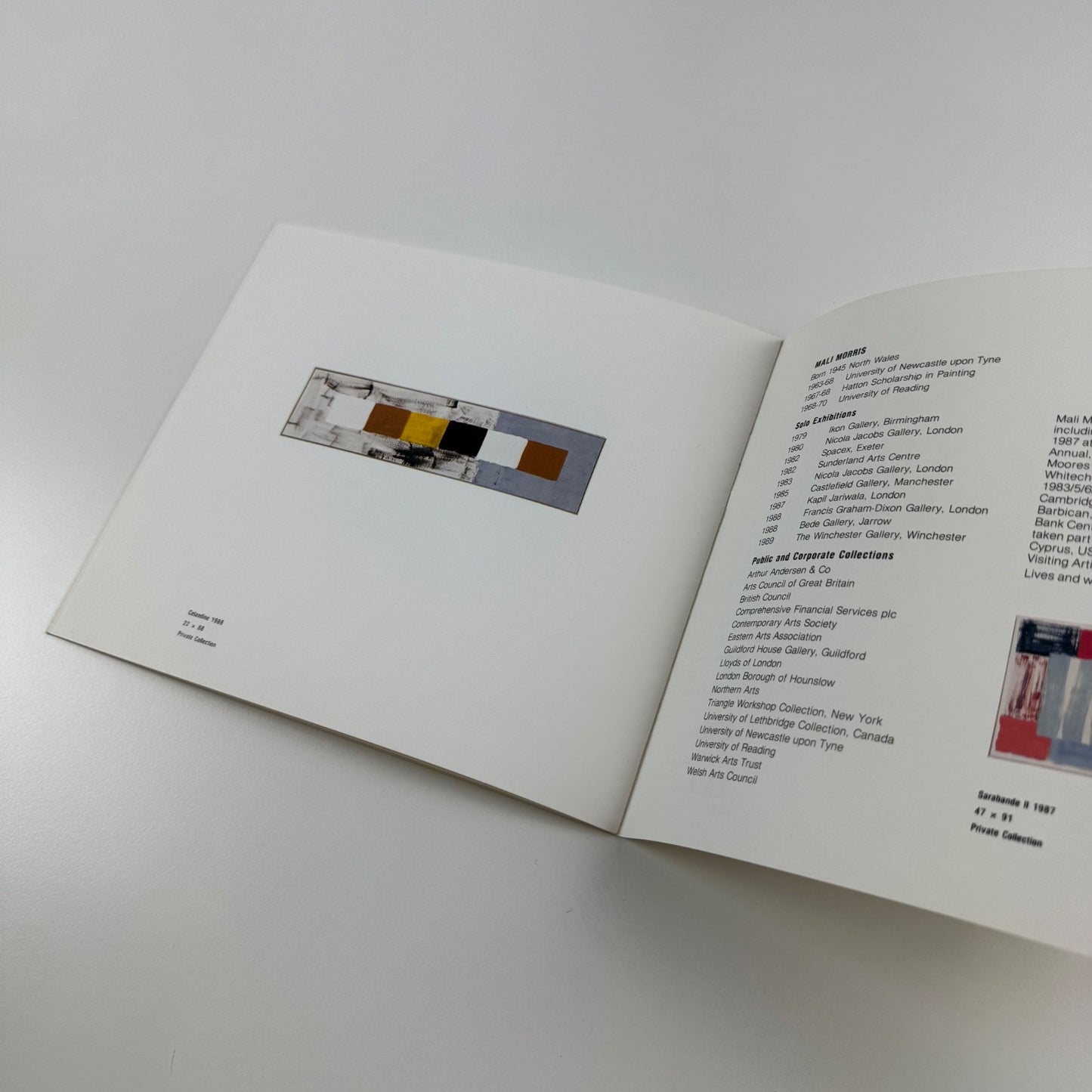 Leaflet Mali Morris. Paintings 1978-1989 The Winchester Gallery 1989