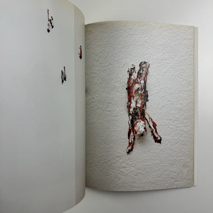 Clemens Krauss. Arbeit die wie ein Bild aussieht | Berlinische Galerie exhibition catalogue, 2007