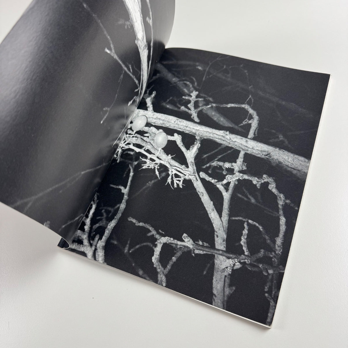 Tal R Fruitland | Museum Abteiberg, Mönchengladbach, 2002