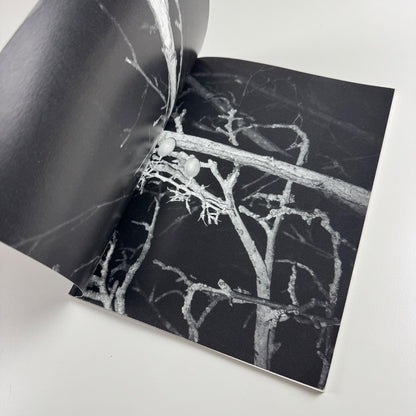 Tal R Fruitland | Museum Abteiberg, Mönchengladbach, 2002