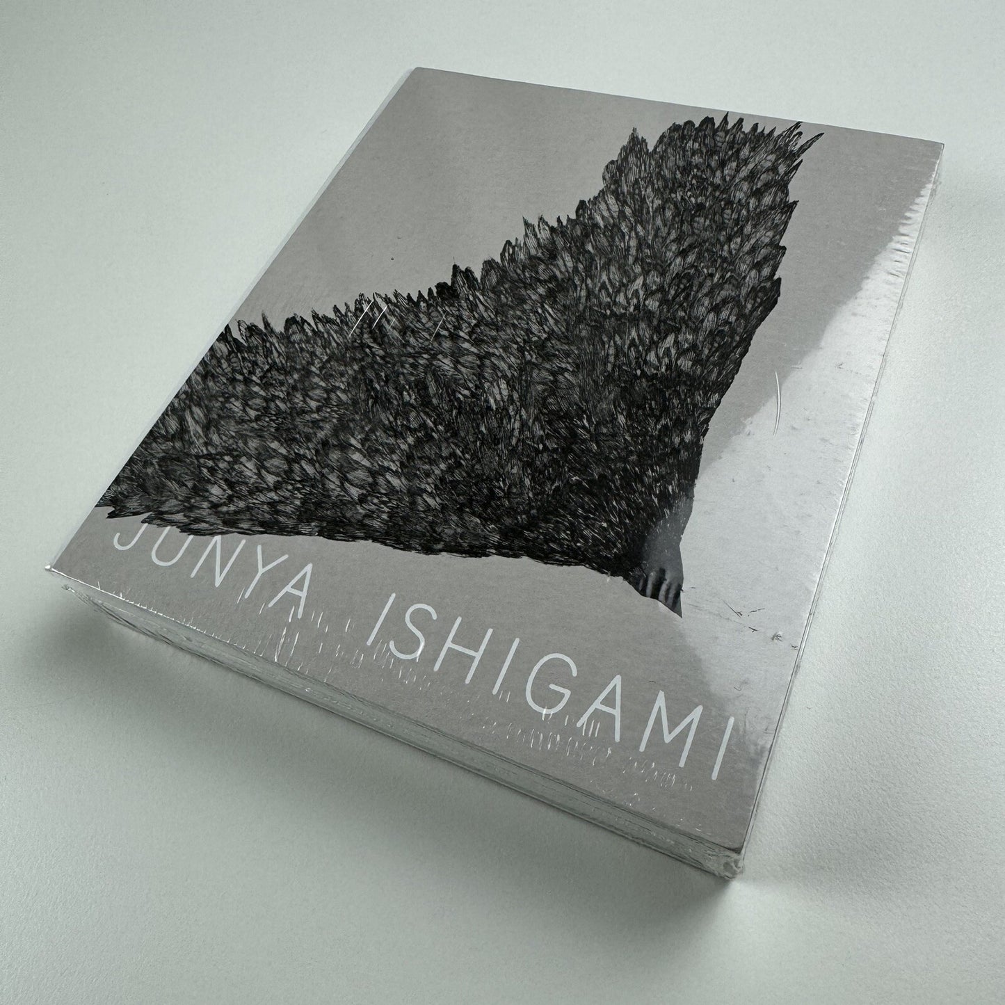 Junya Ishigami. Serpentine Pavilion 2019 | Koenig Books, 2019