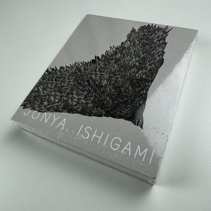 Junya Ishigami. Serpentine Pavilion 2019 | Koenig Books, 2019